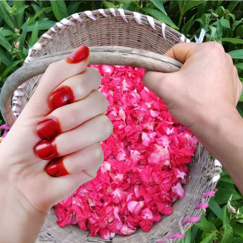 40g Henna Nail Dye Powder For  - Nail Art Natural 评论和价格